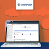 litespeed-server-license